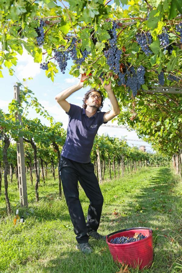 Agriturismo La Rocca