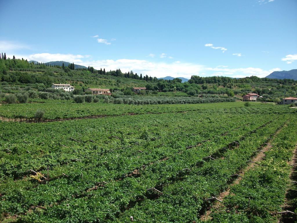 La Rocca