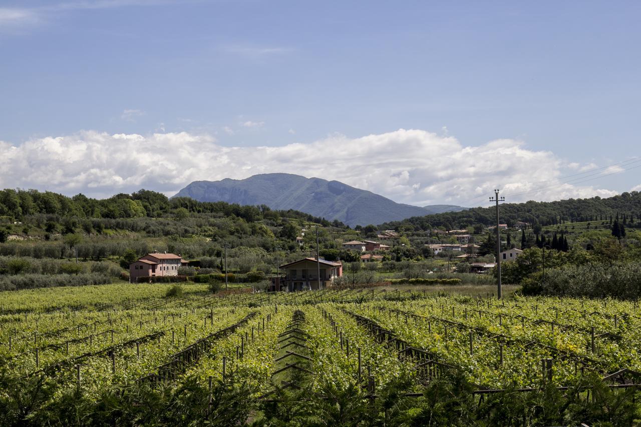 La Rocca * Bardolino